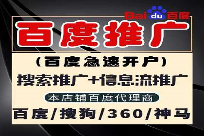 百度竞价优化技巧：实战案例深度剖析
